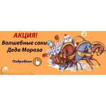 Акция "Волшебные сани Деда Мороза"